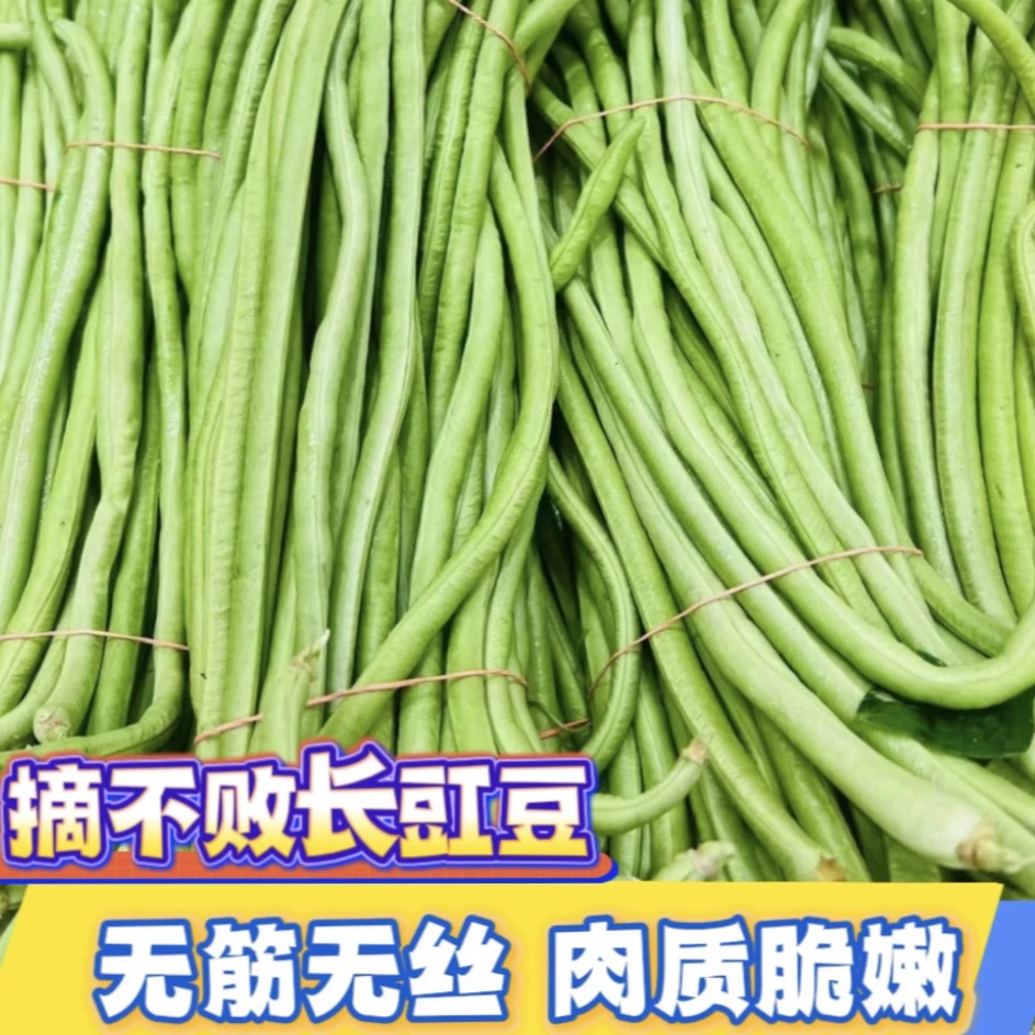 瀑布长豇豆种子特长四季豆秋冬季春夏季豆角种籽大全蔬菜长豆角