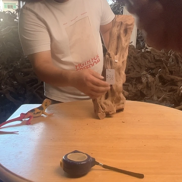 木181340鱼缸造景根雕艺术800