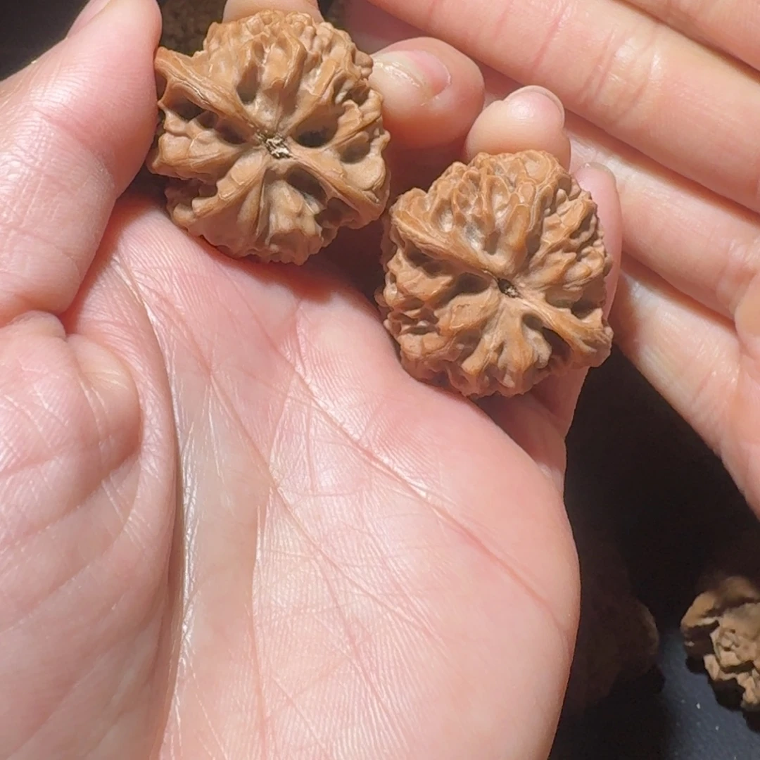 小***0木质类野牛35全品