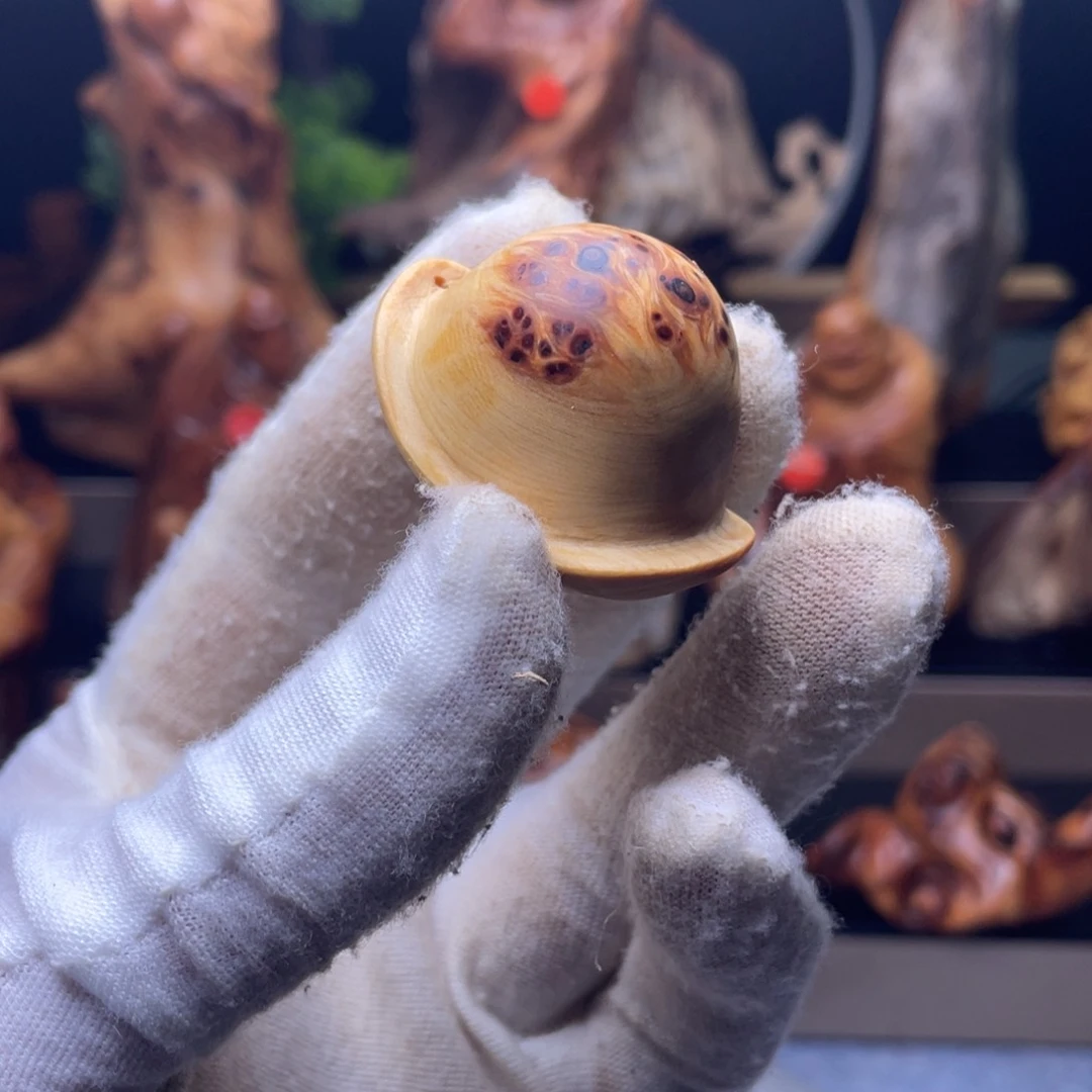 柏木（崖柏）3333333333333