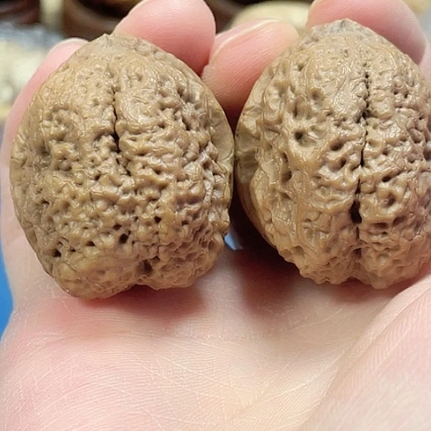 文玩核桃把件府上有龙带彩42