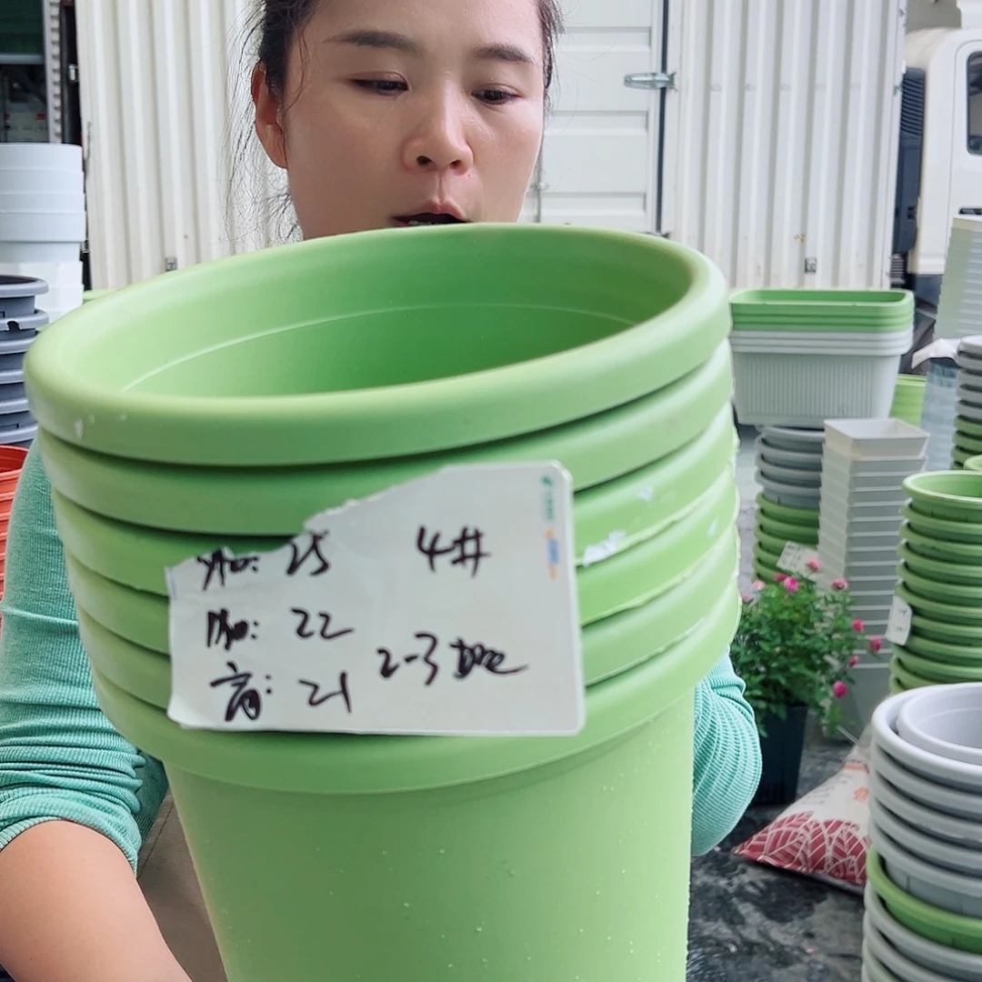 四季盆4#果绿色8个无托