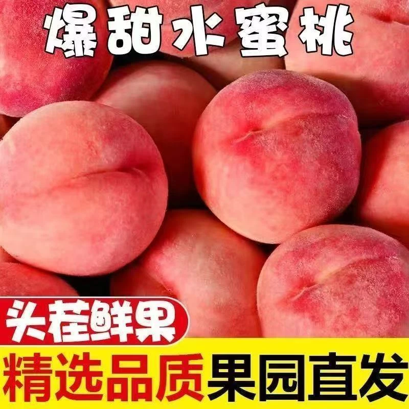 【顺丰包邮】山西产地现摘现发春梅水蜜桃z