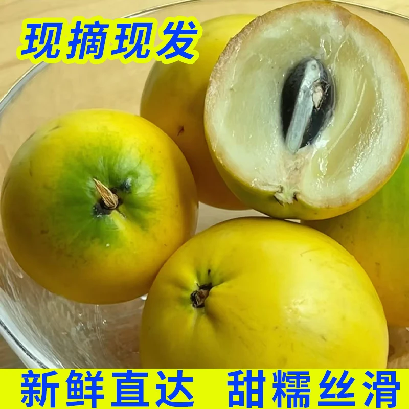 【小羊专属】云南西双版纳黄晶果软糯清甜果冻口感