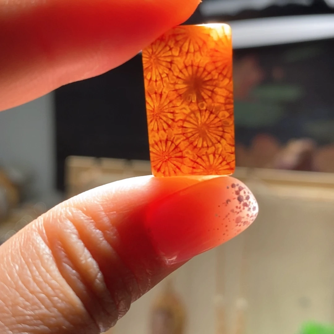【闪购商品】硅化玉颈饰未镶嵌