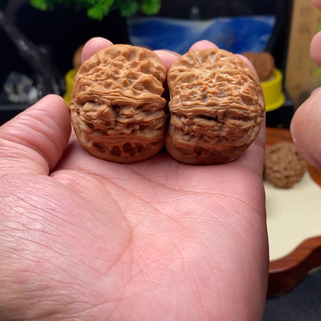 核桃全品白狮子44
