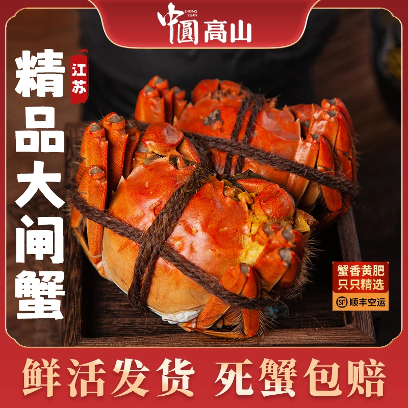 【活蟹现发】苏州精品大闸蟹8/10只公4.0-3.7两 母3.0-2.7两顺丰