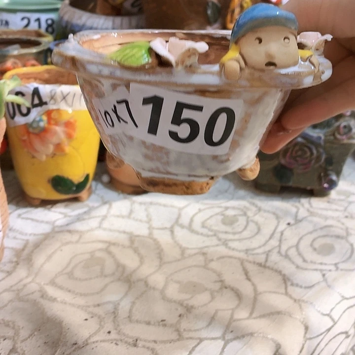 多肉花盆满15包邮
