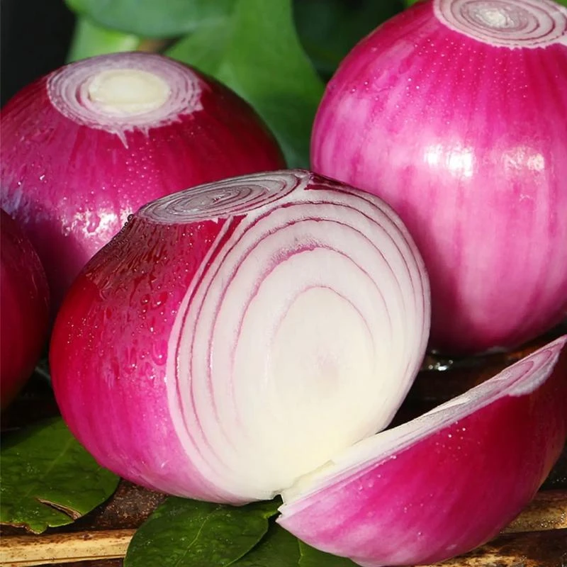 东台本地农家种植洋葱