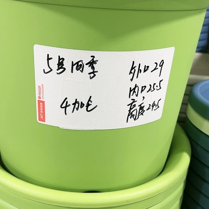 特价5号口29高24.5白色5只无托