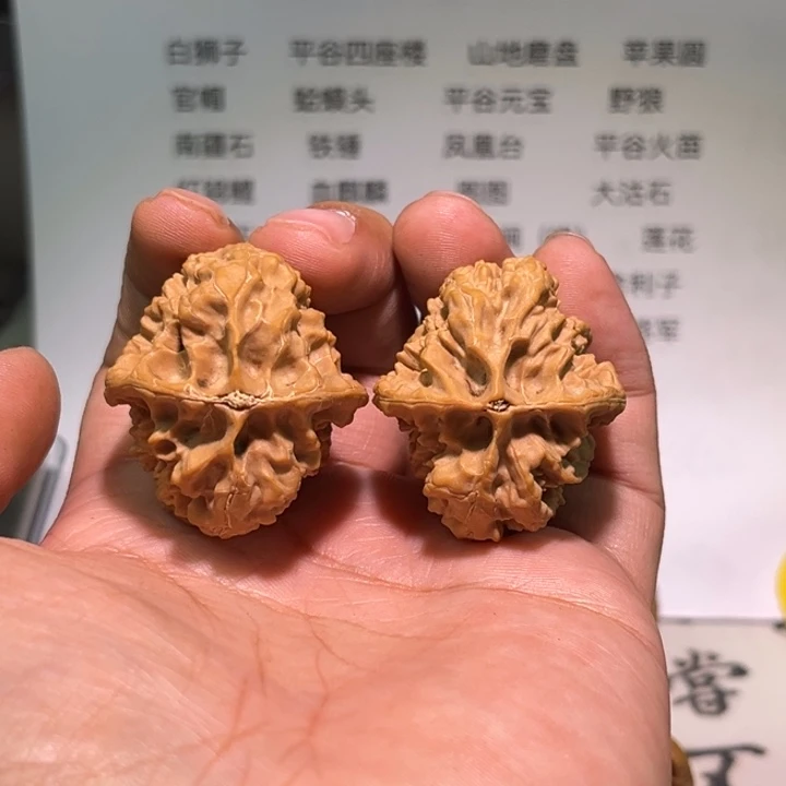 ゞ***ご文玩核桃把件十三鸡