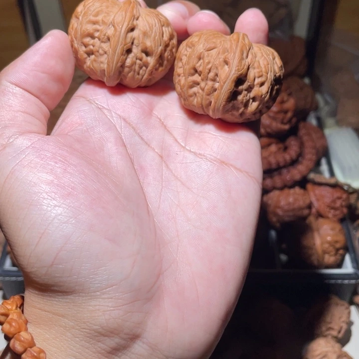 g***r42尺寸全品无修元宝