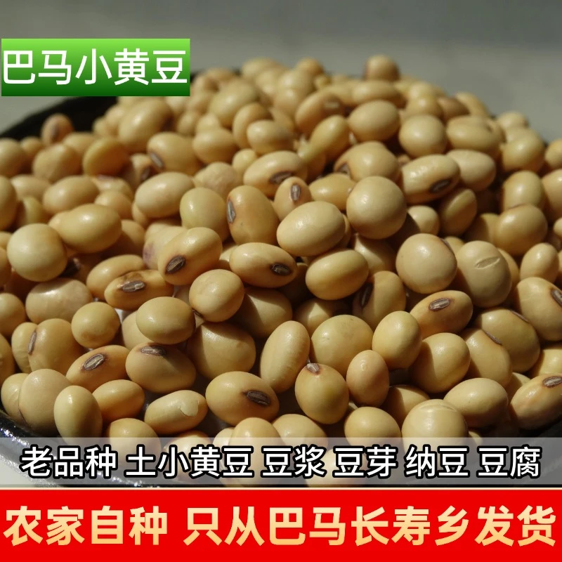 纳能堂【顺丰】巴马大豆正宗土黄豆小黄豆肾型豆浆发豆芽豆腐纳豆