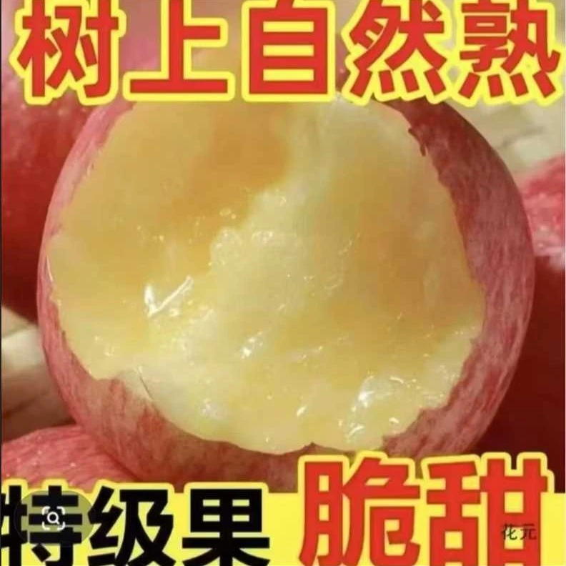 2025年正宗红富士正宗红富士脆甜多汁农场直销红苹果