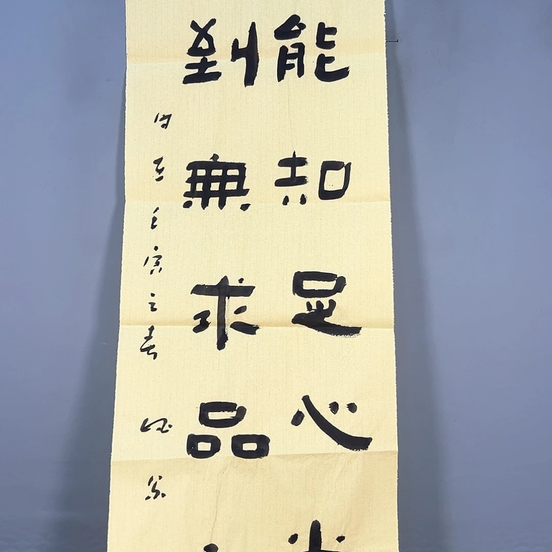 国画112 花鸟的翅膀是白色和黑色最