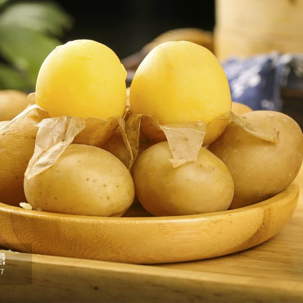 贵州高山洋芋黄心小土豆 新鲜当季现挖迷你马铃薯