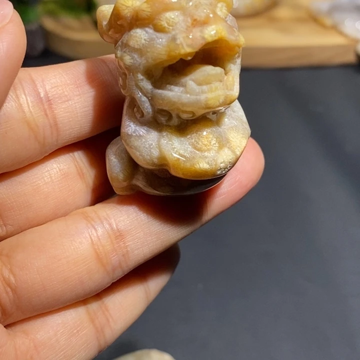 【闪购商品】未镶嵌珊瑚玉硅化玉