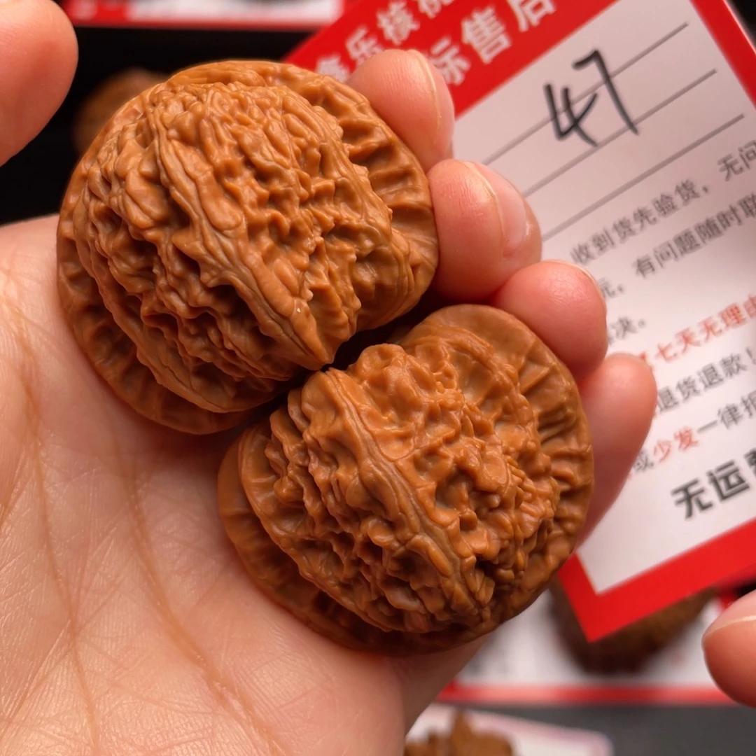 把件文玩核桃白狮子40尺