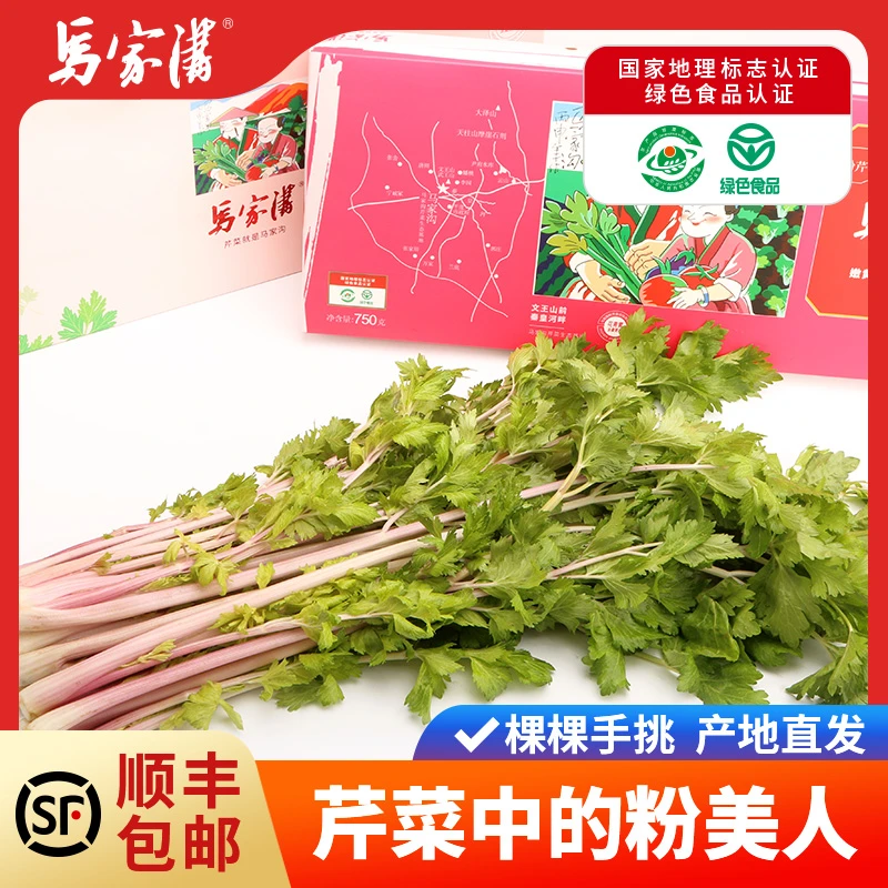 马家沟芹菜粉美人750g礼盒装