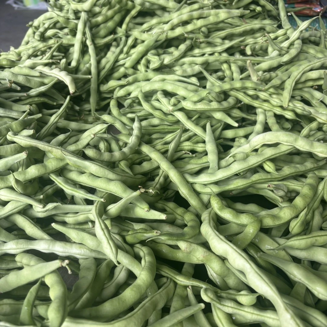 贵州正宗【老品种新鲜四季豆】菜豆芸豆扁豆当季无公害蔬菜蔬菜