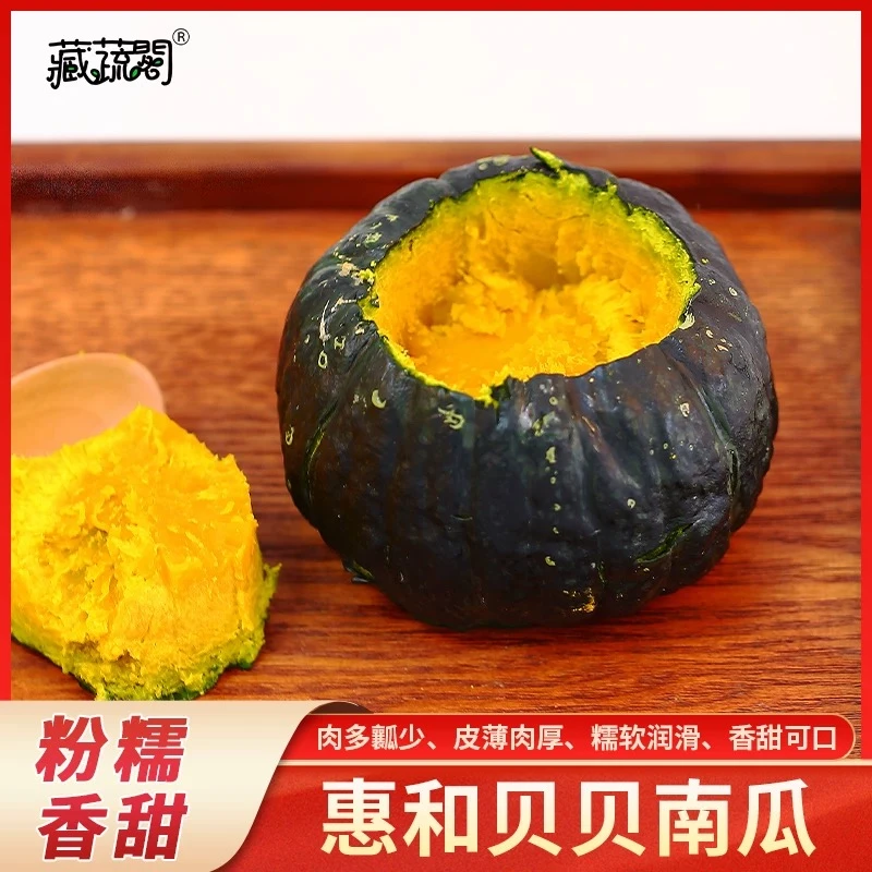藏蔬阁正宗惠和贝贝南瓜粉糯香甜板栗味现摘现发迷你小南瓜5斤装