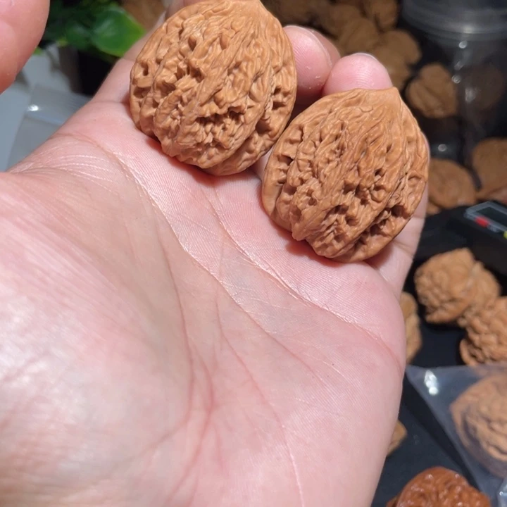 文玩核桃把件34➕麦虎