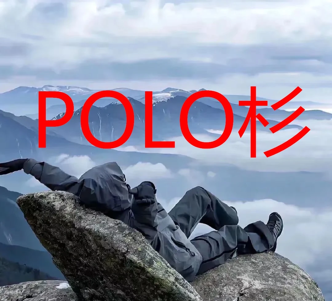 【衣服】休闲户外商务风格POLO衫