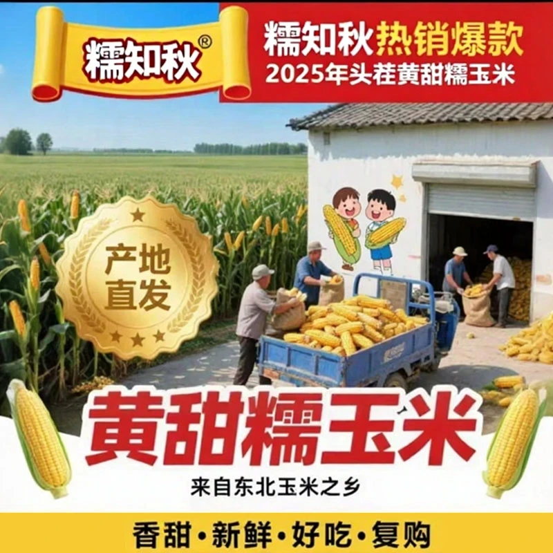 东北黄糯玉米新鲜甜糯玉米粗粮低脂早餐代餐主食黏玉米10根5-6斤