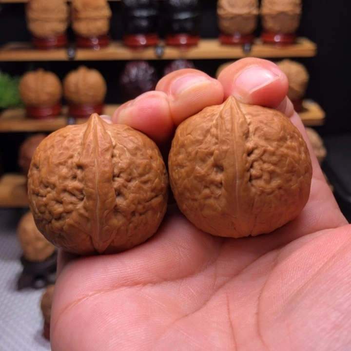 【闪购商品】小钢炮42