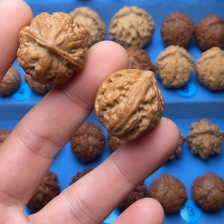 文玩核桃把件珊瑚纹小号