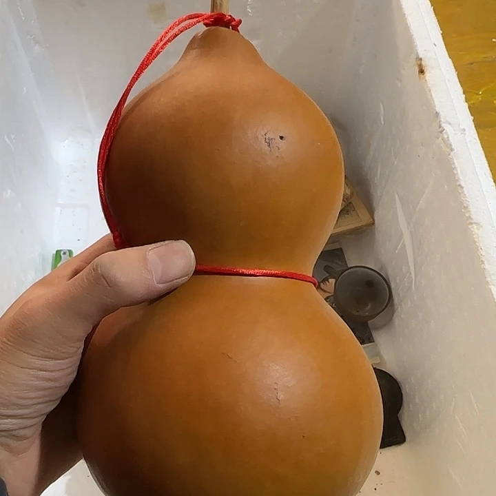 君***啸咯哩咯来咯哈咯哦记录咯人