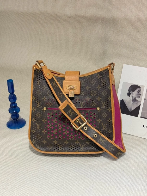 95新 LouisVuitton/路易威登 老花镂空伊芙琳斜挎包