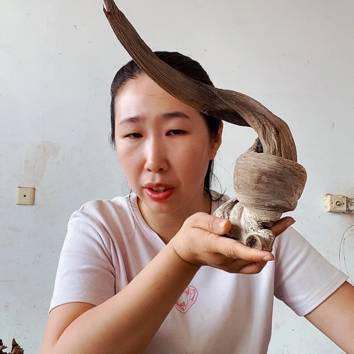 有***缘香榧木太行山区的农民