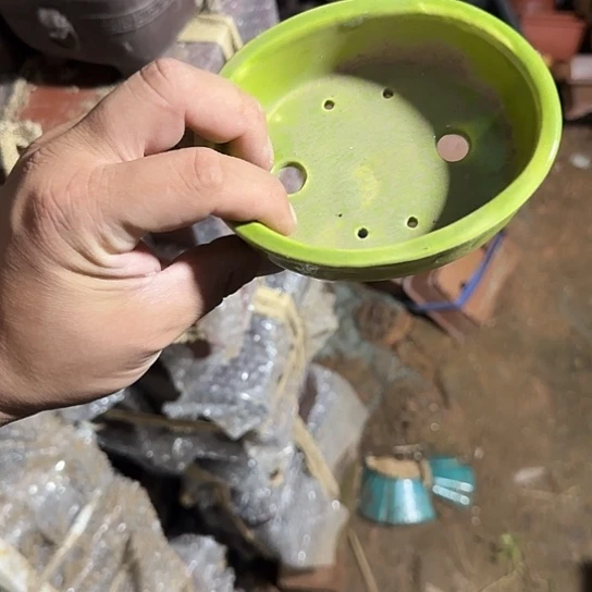 一哈来我这儿吃饭啊亲爱的媳妇啊媳妇们