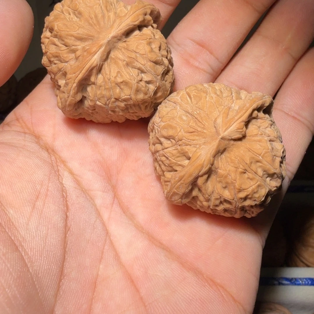 文玩核桃吊坠南瓜40尺寸