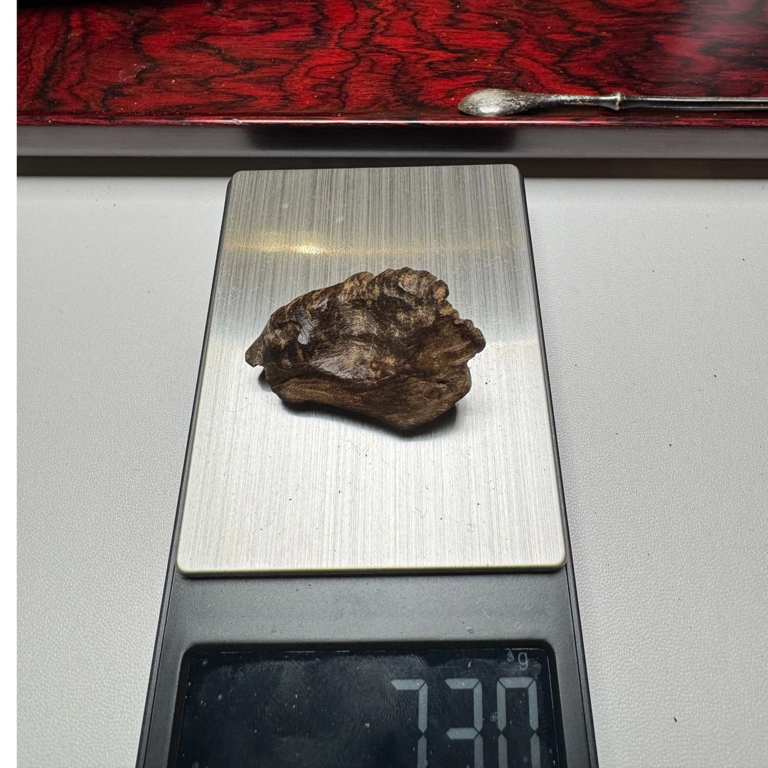 沉香Lot21哈海南沉水老琼脂7.3g