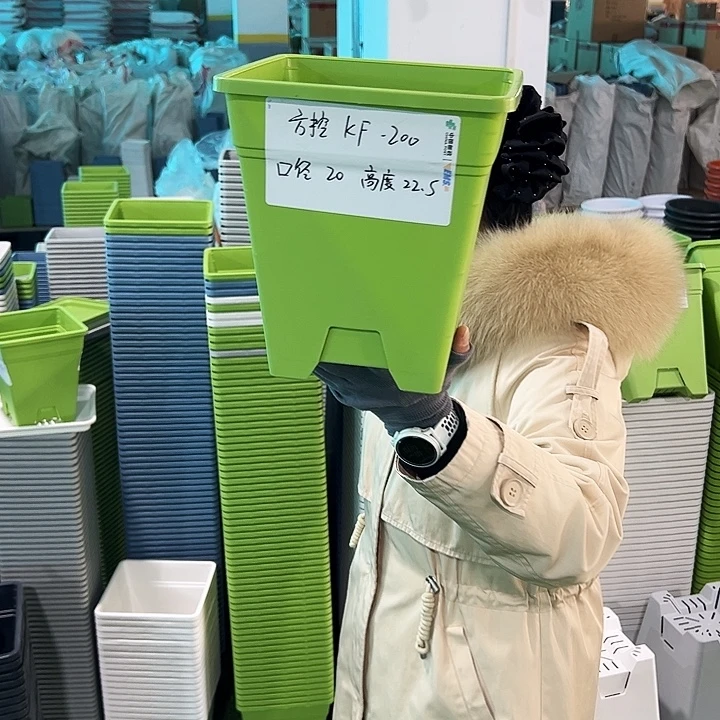 正品方盆口20高22果绿无托6只