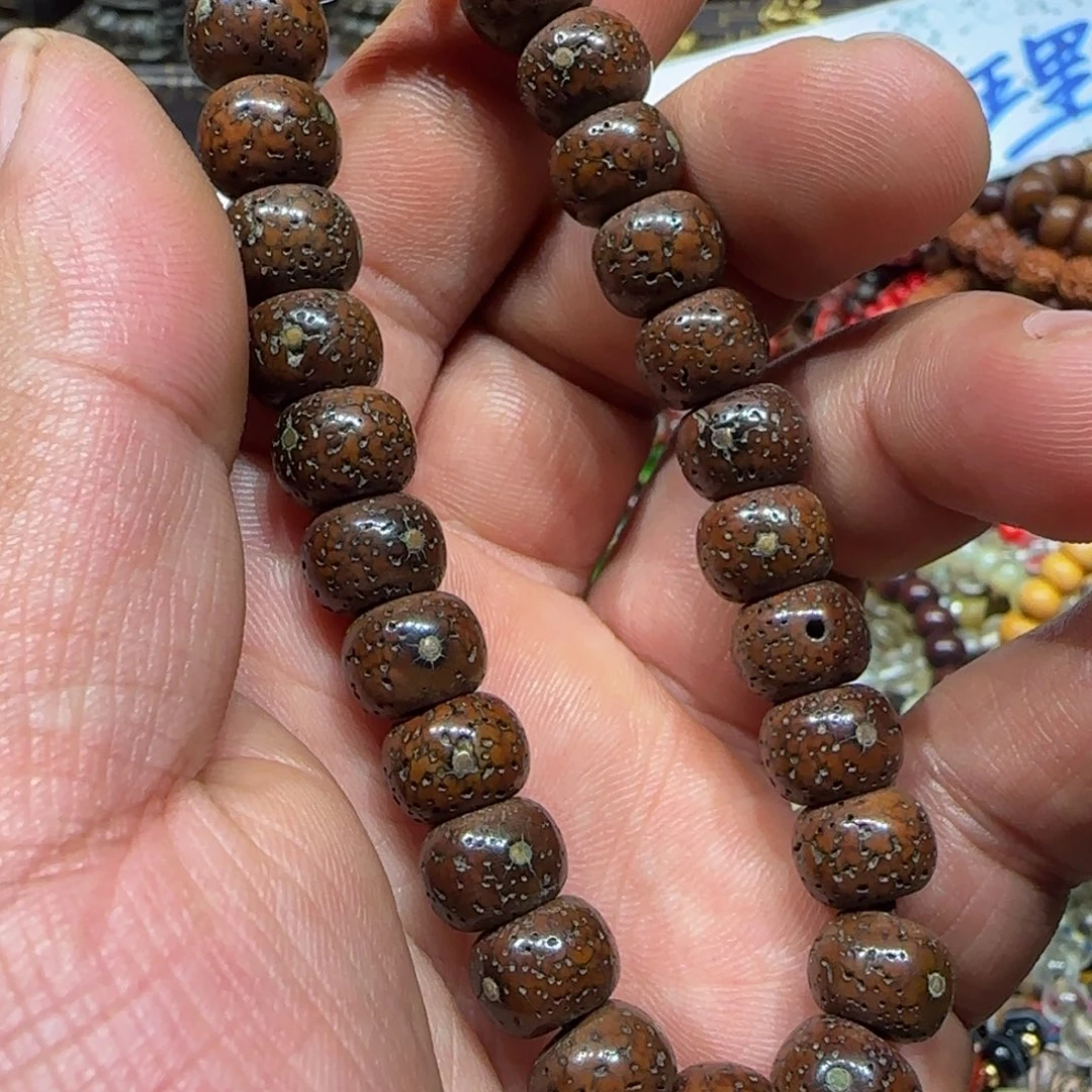 老老老老老老老了老了
