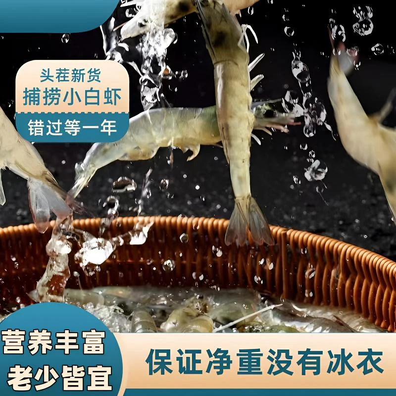 黄海湾冷水小海虾 嫌小勿拍  肉质紧实鲜甜可口老少皆宜 净重4斤
