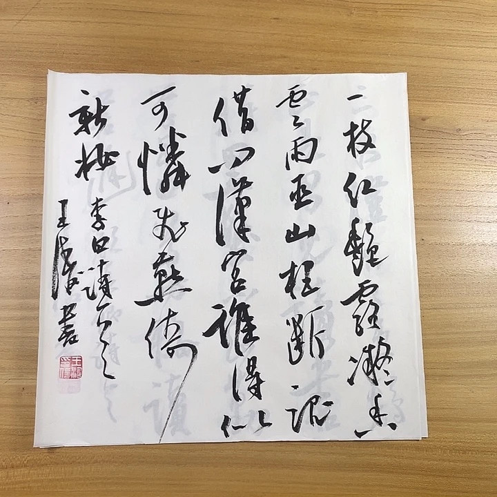 书法中书协会员作品