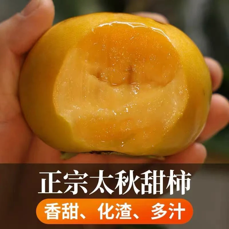 【顺丰或京东快递】中秋礼品太秋脆甜柿子酥脆化渣现摘现发3-5斤装