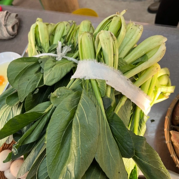 【小青菜】农家自种新鲜现摘蔬菜