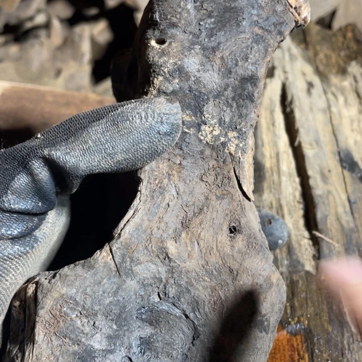 D***G贡木手串感谢大家