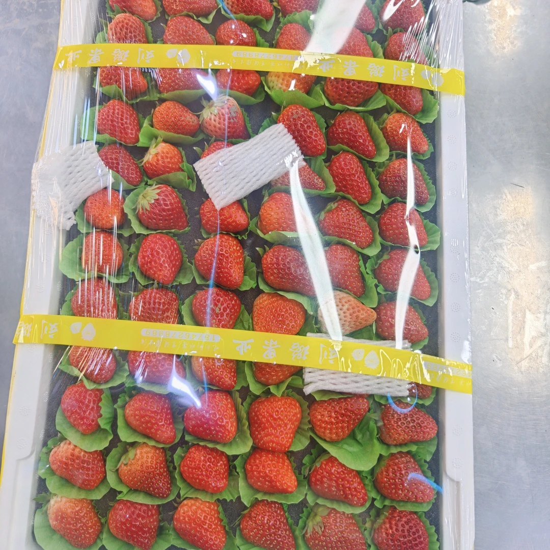 丹东九九草莓一板3.5斤左右安徽省