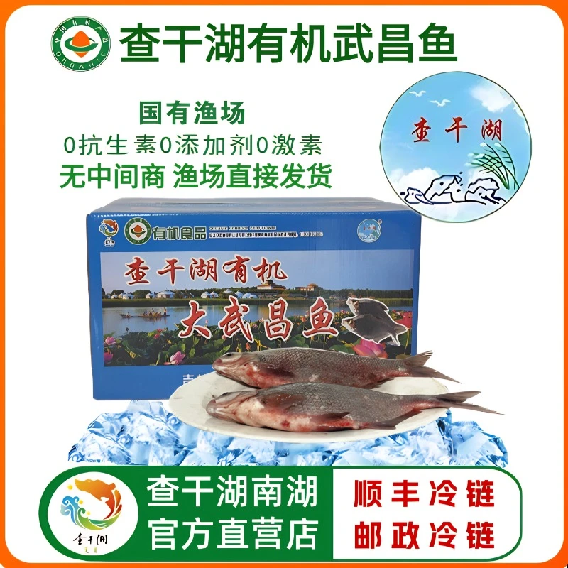 官方正品查干湖有机武昌鱼10斤 渔场直发