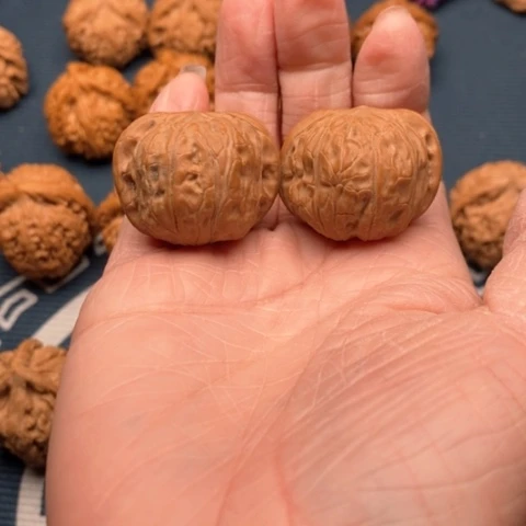 橄榄核手串/手链只**路圣火令