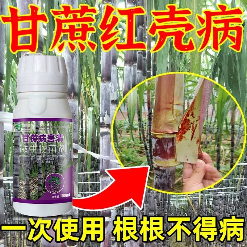 甘蔗病全治甘蔗专用药剂梢腐红壳褐腐病花叶黄叶病赤腐褐条病