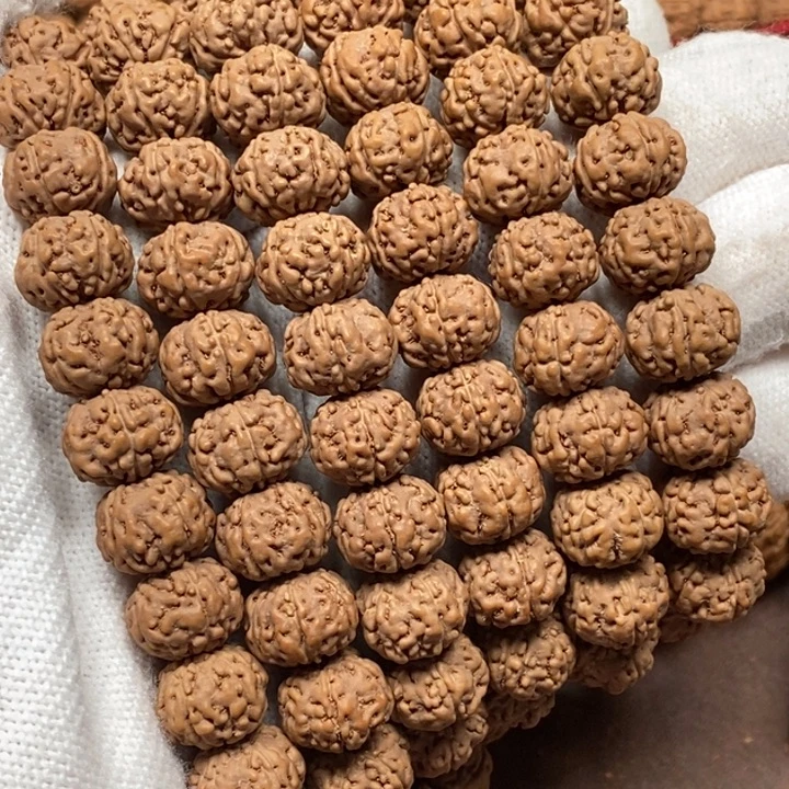 清***春金刚菩提吊坠树王