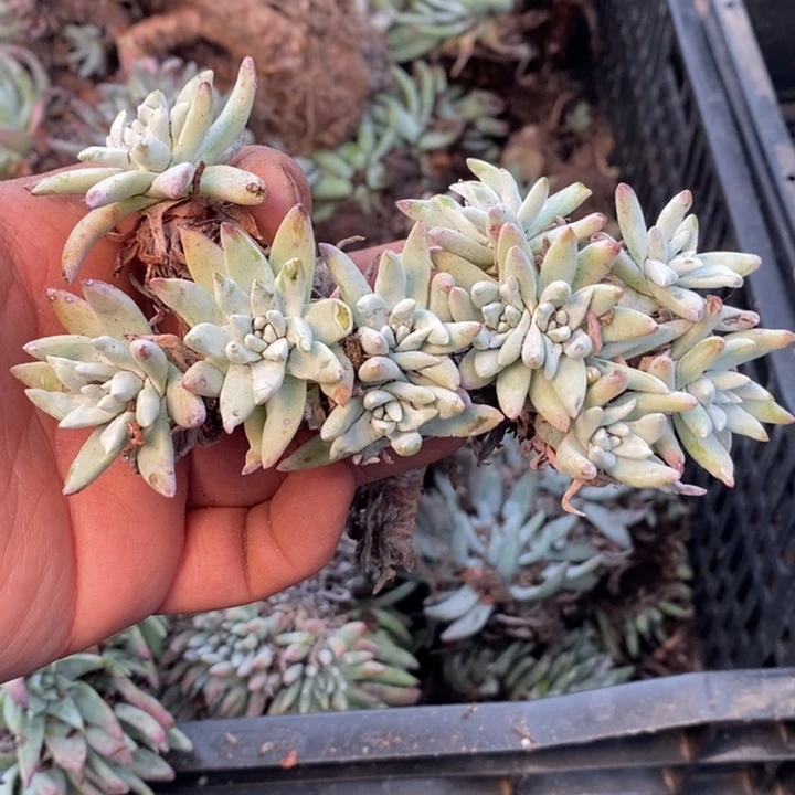 3646哈哈哈哈哈哈哈哈哈哈