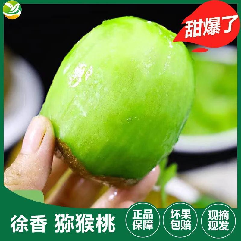 徐香猕猴桃15枚正宗陕西周至新鲜水果当季绿心弥猴桃奇异果现摘